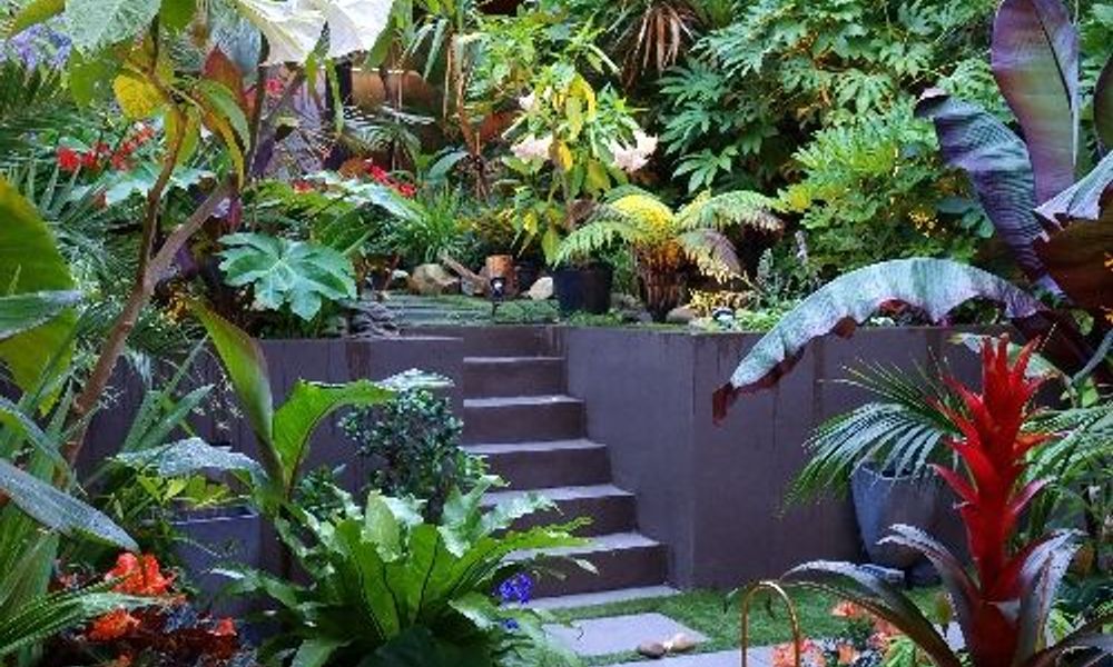 Exotic Tropical Garden