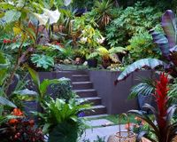Exotic Tropical Garden 4