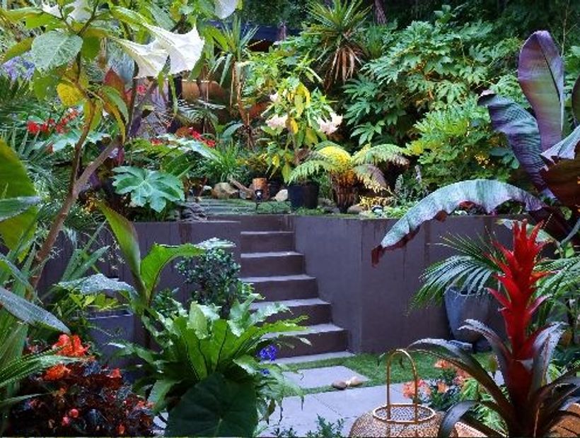 Exotic Tropical Garden 4