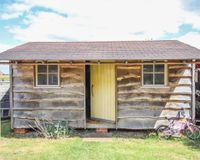 The hornbeams 4