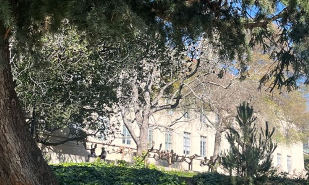 Wilted trees outside bridge concrete building