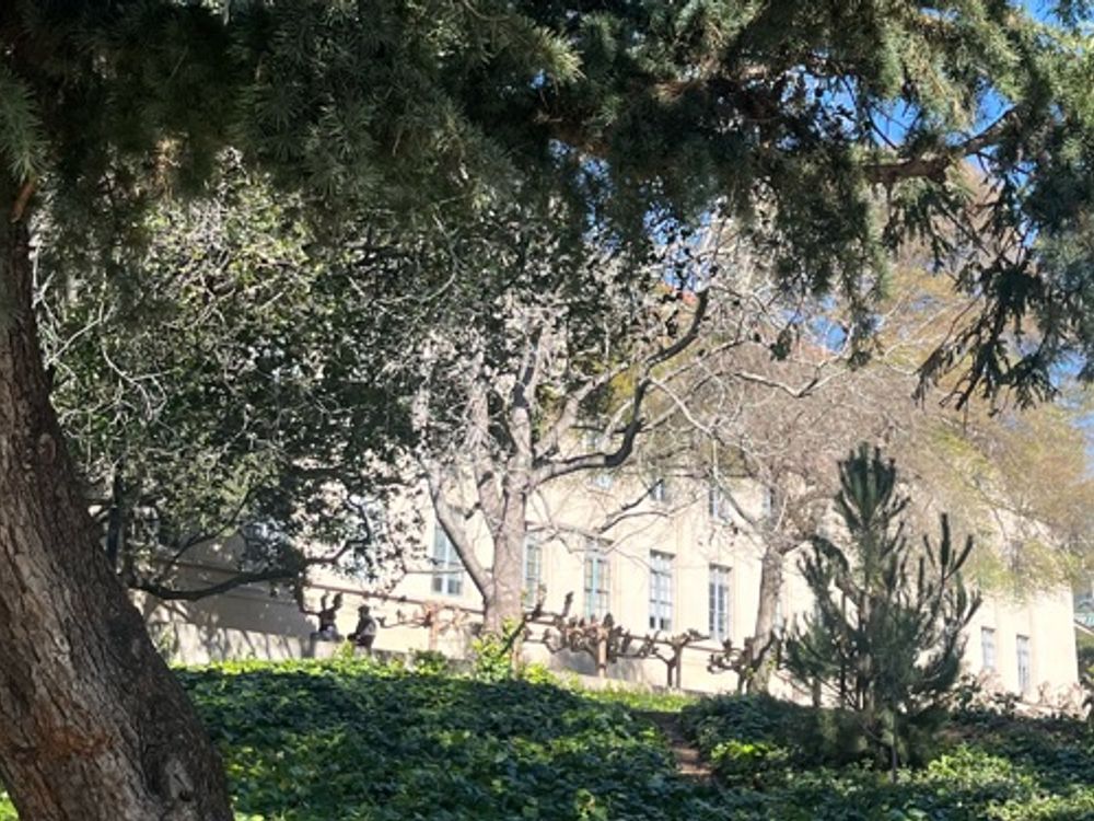 Wilted trees outside bridge concrete building — image 1