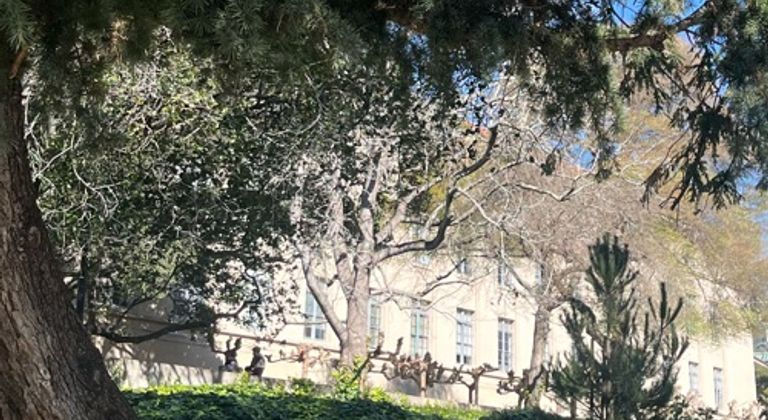 Wilted trees outside bridge concrete building