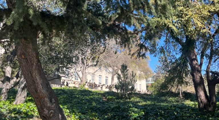 Wilted trees outside bridge concrete building