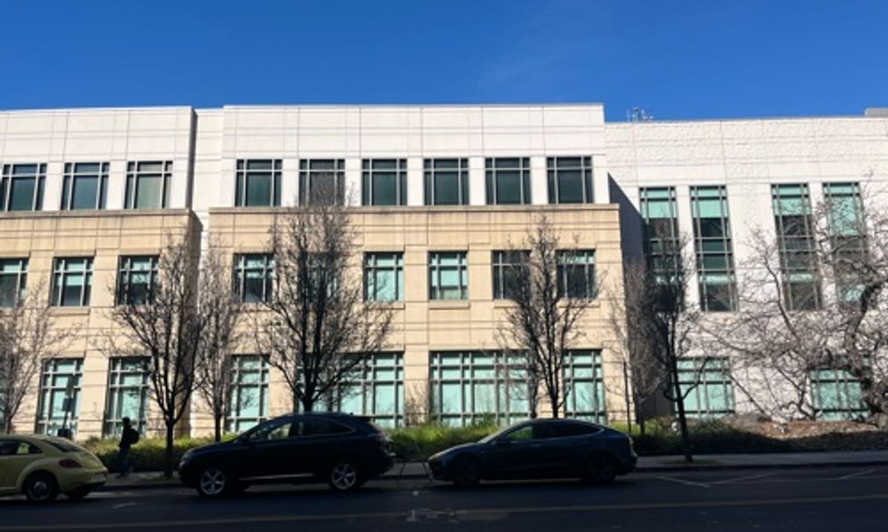 Row of both dead and alive trees outside new building