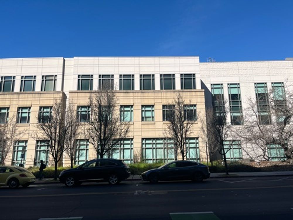 Row of both dead and alive trees outside new building — image 1