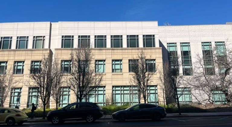 Row of both dead and alive trees outside new building