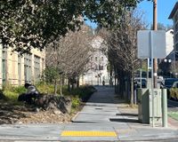 Row of both dead and alive trees outside new building 2