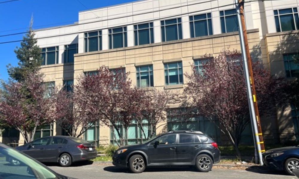 Row of both dead and alive trees outside new building
