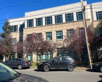Row of both dead and alive trees outside new building 3