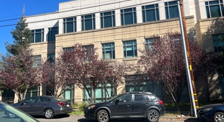 Row of both dead and alive trees outside new building