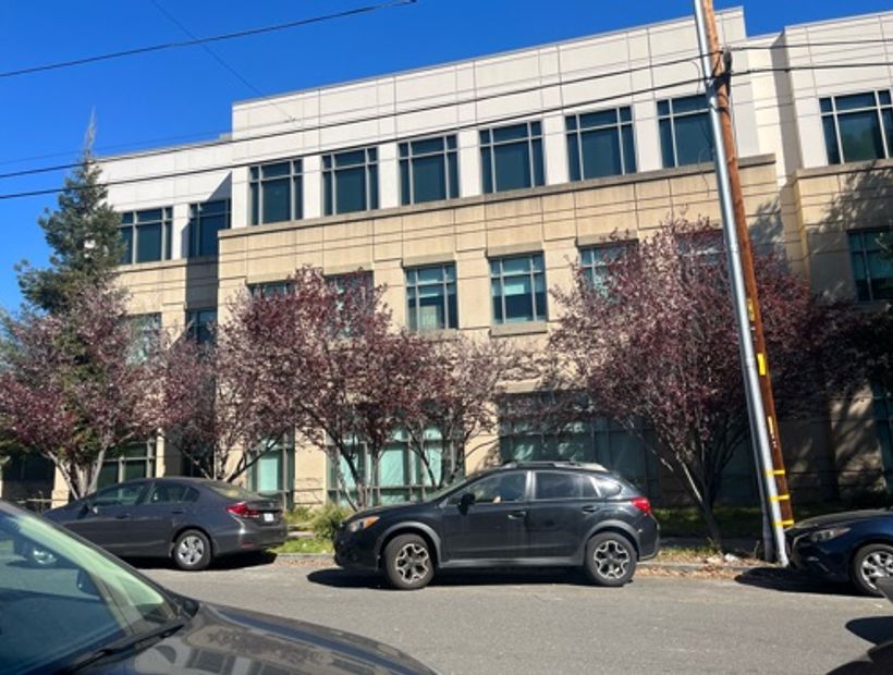 Row of both dead and alive trees outside new building 3