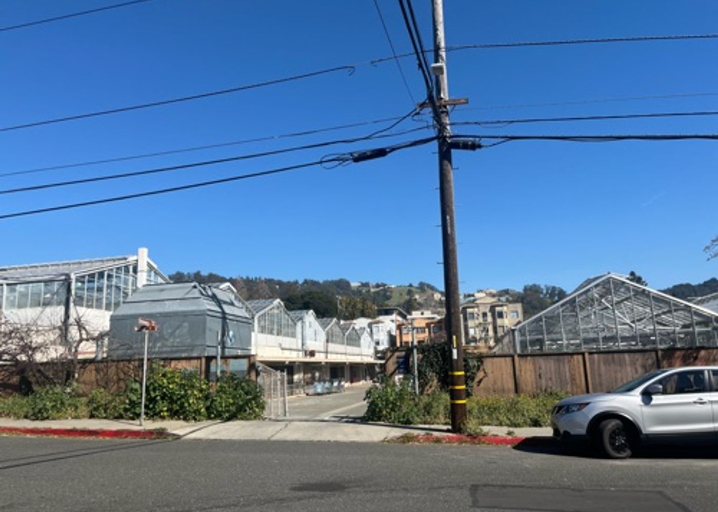 Greenhouse complex 1