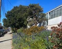 Greenhouse complex 2