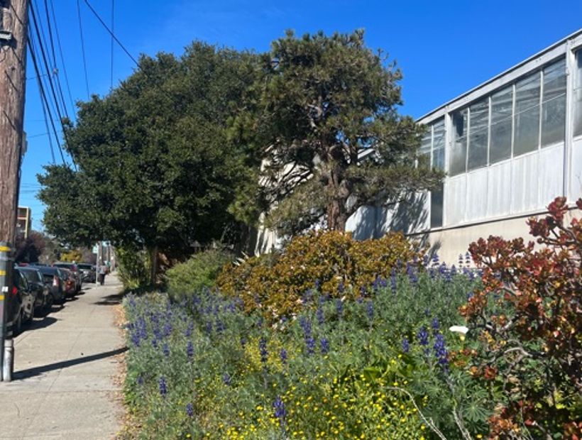Greenhouse complex 2