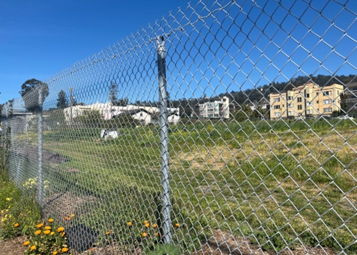 Garden with iron fence 1