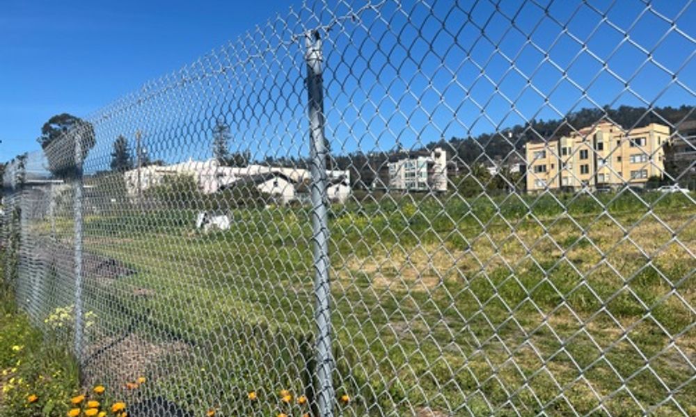 Garden with iron fence