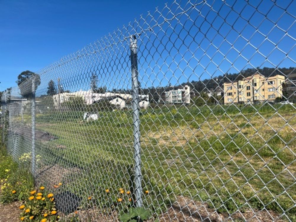 Garden with iron fence — image 1