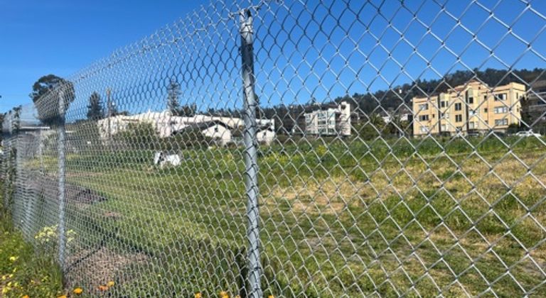 Garden with iron fence