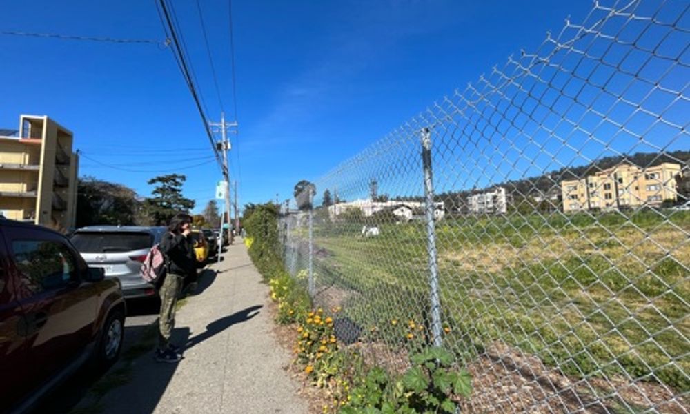 Garden with iron fence