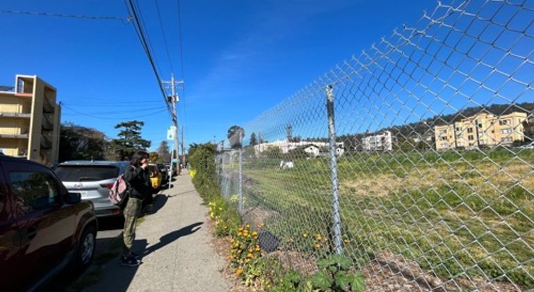 Garden with iron fence